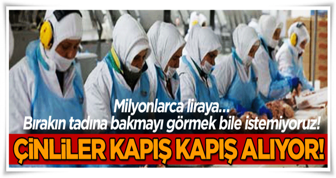 Milyonlarca liraya… Çinliler kapış kapış alıyor!