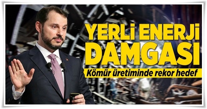 Yerli enerji damgası .