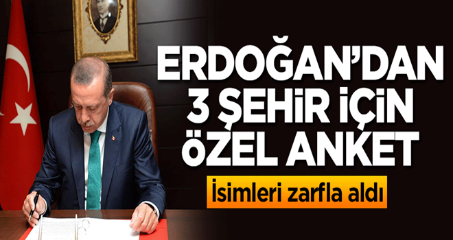 Başkan Erdoğan'dan 3 şehir için özel anket