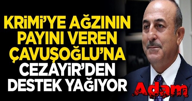 Krimi'ye ağzının payını veren Çavuşoğlu'na, Cezayir'den destek yağıyor