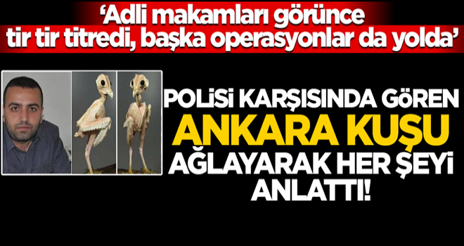 Polisi karşısında gören ‘Ankara Kuşu’ ağlayarak bülbül gibi ötmüş!