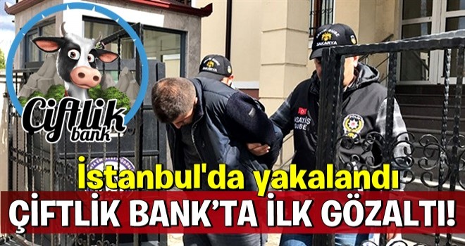 Çiftlik Bank’ta ilk gözaltı! İstanbul'da yakalandı