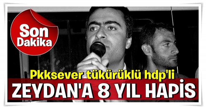 Son dakika: HDP'li Abdulalh Zeydan'a 8 yıl 1 ay 15 gün hapis .