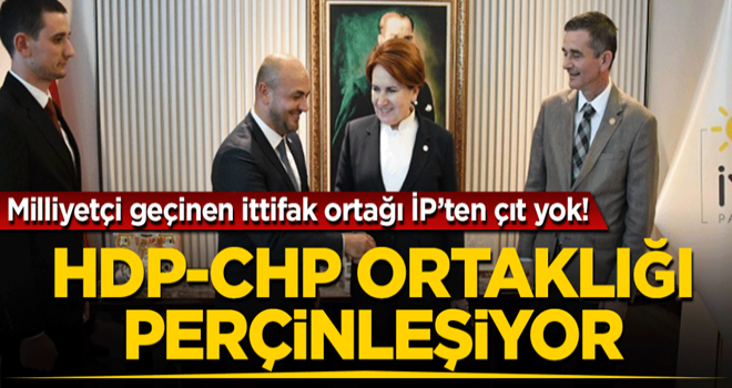 Milliyetçi geçinen ittifak ortağı İP'ten çıt yok! HDP-CHP ortaklığı perçinleşiyor