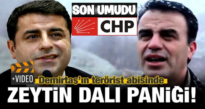 Demirtaş'ın terörist abisinin Afrin paniği!