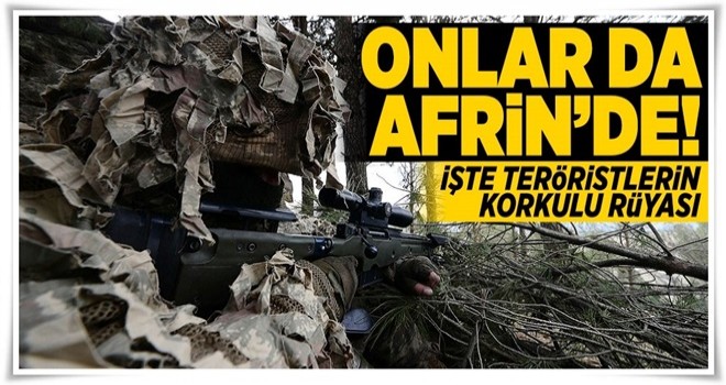 Mehmetçik'e Destek Veren Keskin Nişancılar Afrin Hattında Kuş Uçurtmuyor