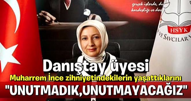 Danıştay üyesinden İnce'ye sert sözler: İnce zihniyetindekilerin...