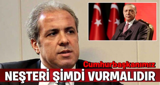 Şamil Tayyar: Neşter şimdi vurulmalıdır