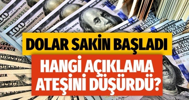 Dolar haftanın son gününe sakin başladı peki ama neden?