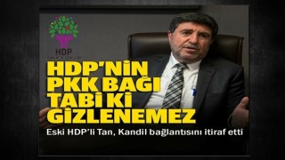 HDP'den istifa eden Tan: Partinin PKK ile bağı gizlenemez