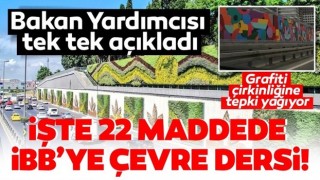 İstanbul'daki grafiti çirkinliğine tepki yağıyor! Bakan Yardımcısı Birpınar'dan İBB'ye çevre dersi