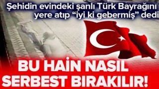 Şehit evindeki şanlı Türk bayrağını yere atıp "iyi ki gebermiş" diyen hain kadın serbest bırakıldı! .