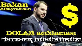 Berat Albayrak'tan dolar açıklaması! İstesek düşürürüz