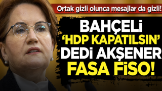 Bahçeli'nin 'HDP kapatılsın' çağrısına Meral Akşener'den fasa fiso: Erdoğan HDP'yi kapatmaz