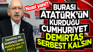 K.K ; Burası Atatürk'ün kurduğu Cumhuriyet, Demirtaş serbest kalsın!