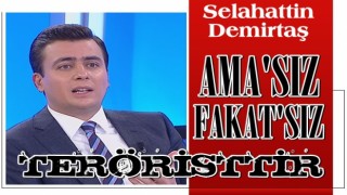 Osman Gökçek: 'Selahattin Demirtaş, amasız fakatsız teröristtir!'