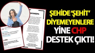 Şehide ‘şehit’ diyemeyenler ile CHP dayanışması!