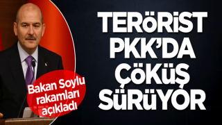 Terörist PKK'nın nasıl dibe vurduğunu Bakan Soylu açıkladı