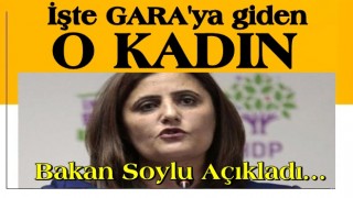 Bakan Soylu Gara'ya giden HDP'li vekili açıkladı!