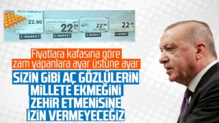 Cumhurbaşkanı Erdoğan'dan gıda fiyatlarındaki artışa yönelik açıklama