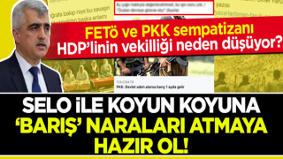 HDP'li Ömer Faruk Gergerlioğlu'nun milletvekilliğini düşüren ne oldu?