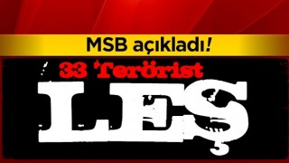 MSB: Gara'da 33 terörist öldürüldü