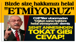 "Oğlunuz size hakkını helal etmeyecek" diyen CHP'ye şehit annesinden tokat gibi cevap!