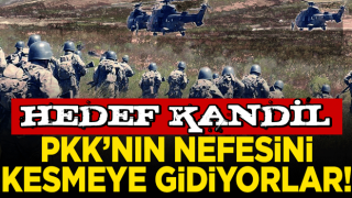 PKK'nın sonu geldi! Hedef Kandil'i yerle bir etmek