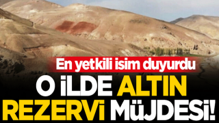 Ağrı'dan altın rezervi müjdesi! En yetkili isim duyurdu