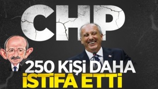 CHP'de istifa dalgası büyüyor