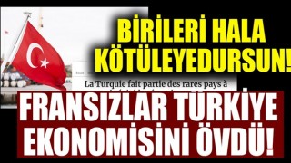 Fransız ekonomi gazetesi Türkiye'yi övdü!