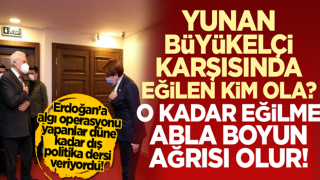 İYİ Parti Genel Başkanı Meral Akşener, Yunan Büyükelçi karşısında böyle eğildi!