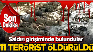 Saldırı girişiminde bulundular! 11 terörist öldürüldü