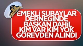 İçişleri Bakanlığı, TESUD yönetimini görevden uzaklaştırdı