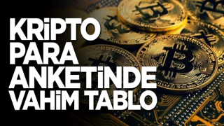 Kripto para anketinde vahim tablo