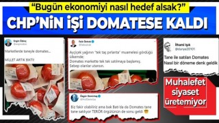 Muhalefetin 'domates' üzerinden giriştiği algı operasyonu boşa çıktı!