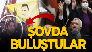 Şaşırtmadı! Nihat Doğan ile HDP'li Gergerlioğlu şovda buluştu