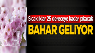 Sıcaklıklar 25 dereceye kadar çıkacak! Bahar geliyor