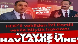 Ali Kenanoğlu, Yavuz Ağıralioğlu'na it dedi