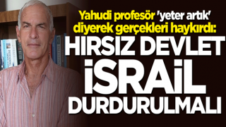 Amerikalı Yahudi profesör Finkelstein: Hırsız devlet İsrail'e artık yeter denmeli