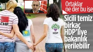 CHP'li Gürsel Tekin: HDP'ye neden bakanlık verilmesin