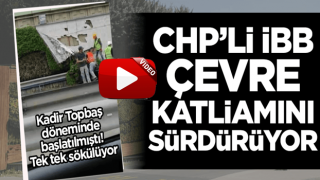 CHP'li İBB çevre katliamı yapıyor! Zeytinburnu'nda dikey bahçeler söküldü