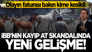 CHP'li İBB'nin kayıp at skandalında yeni gelişme! Görevinden alındı