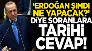 'Erdoğan şimdi ne yapacak?' diye soranlara tarihi cevap!