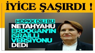 Meral Akşener'den Cumhurbaşkanı Erdoğan'a çirkin benzetme