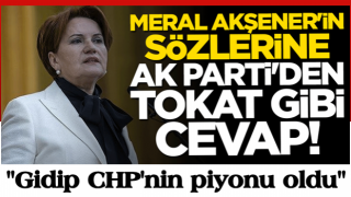 Meral Akşener'in sözlerine AK Parti'den tokat gibi cevap