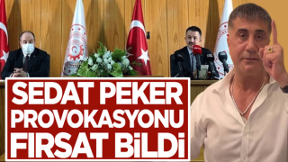 Sedat Peker provokasyonu fırsat bildi