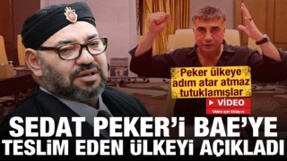 Sedat Peker'i tutuklayıp BAE'ye teslim eden ülkeyi açıkladı