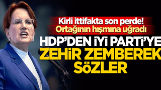 Akşener'in sözleri 'şer ittifakını' sarstı! HDP'den 'ortaklarına' sert cevap