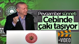 Cumhurbaşkanı Erdoğan’ın ‘doğal makas’ı